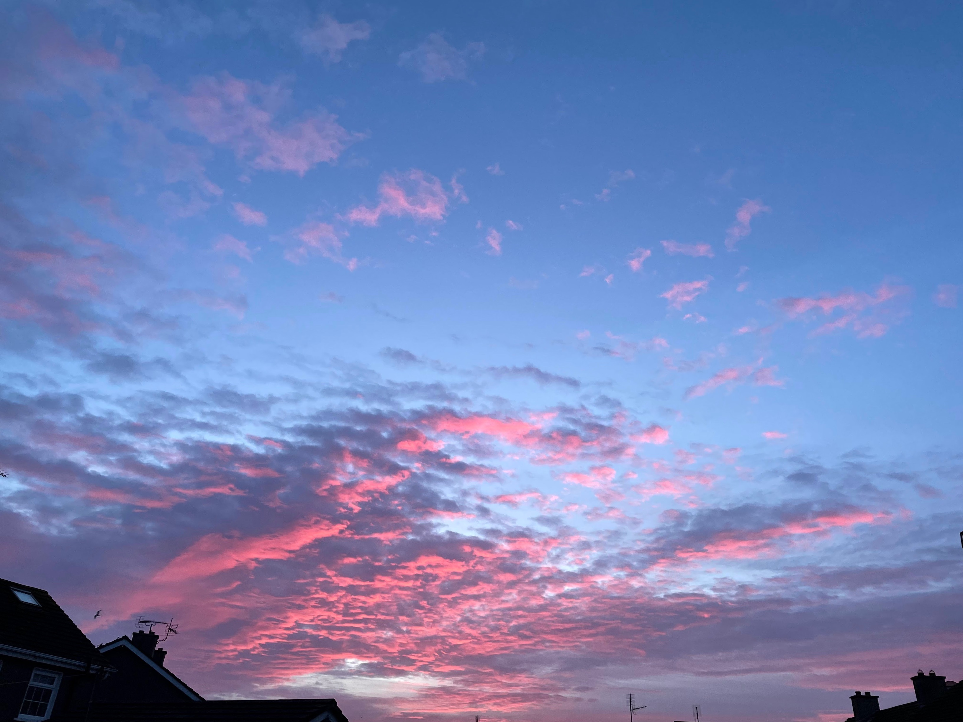 Beautiful Pinkish Blue Sky